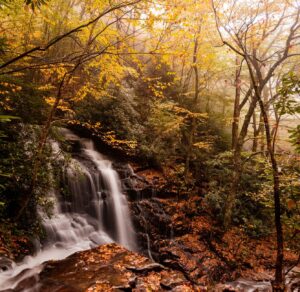 Wasser im Tierreich: Was Wildtiere verraten